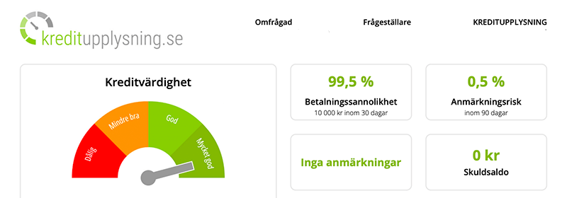 Exempel på kreditupplysning hos Safenode